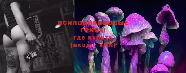 дмт Алзамай