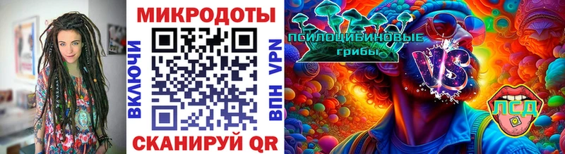 Псилоцибиновые грибы Psilocybine cubensis Берёзовский