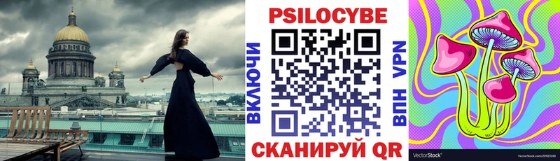 купить   Берёзовский  Псилоцибиновые грибы Psilocybe 